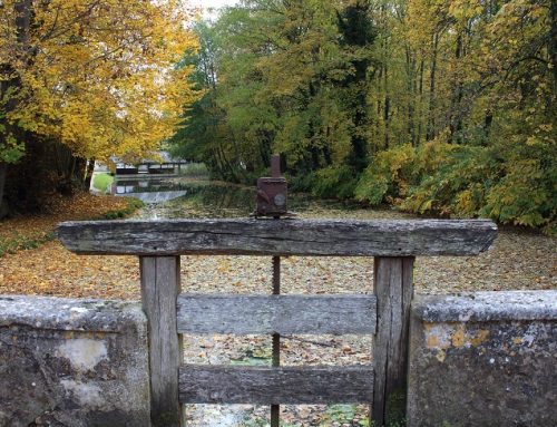 Lavoir de Saint-Fargeau