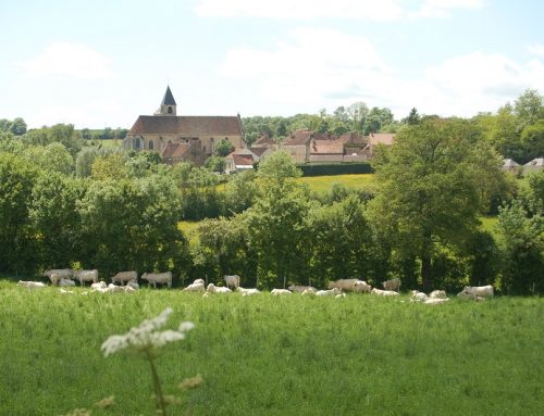 Village poyaudin