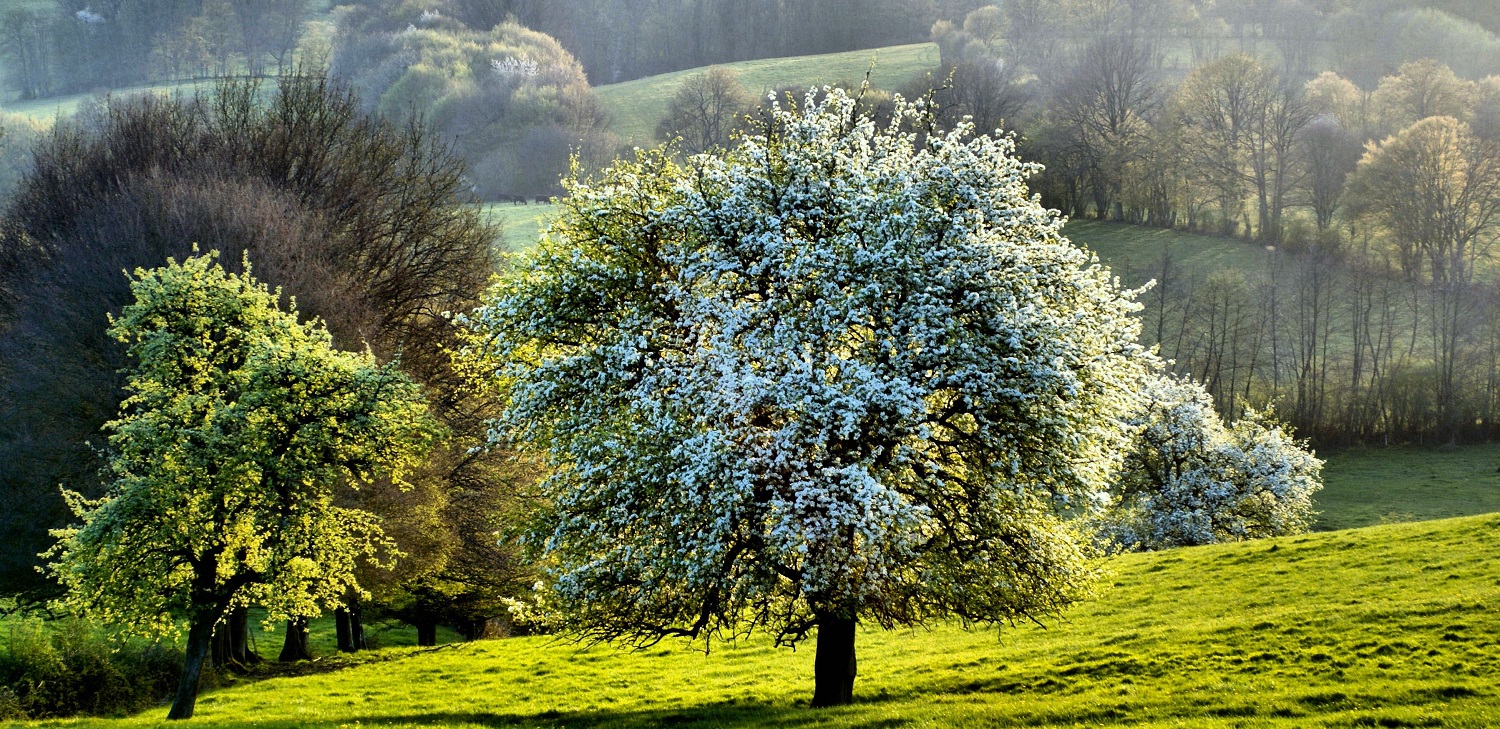 Communauté de communes de PuisayeForterre Site officiel