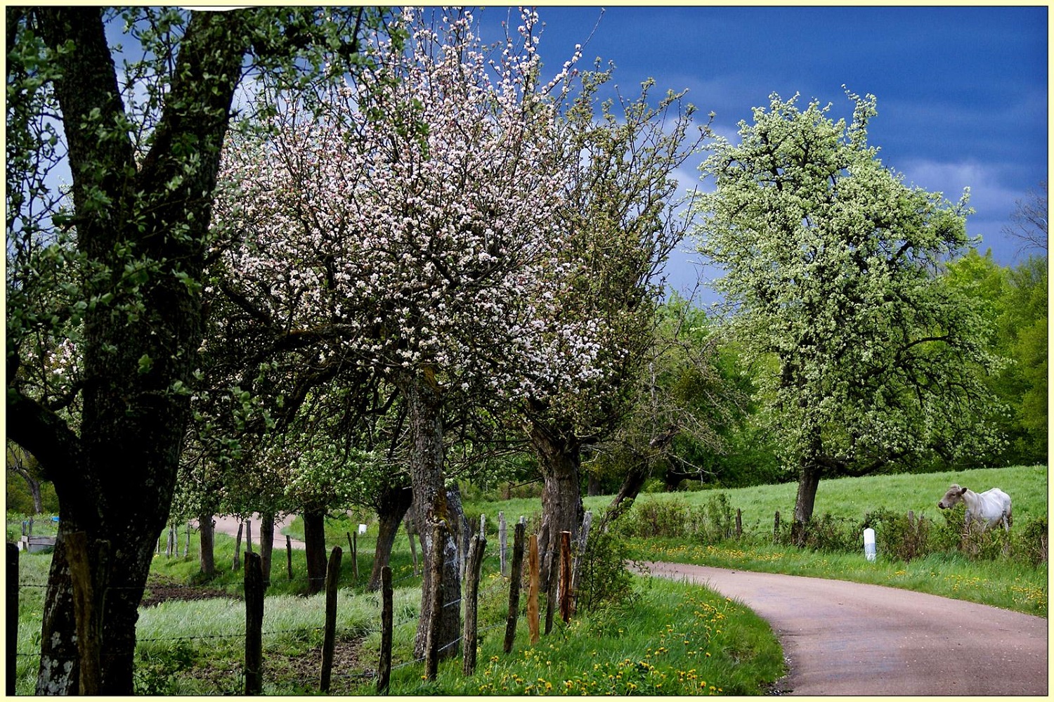 Communauté de communes de PuisayeForterre Site officiel