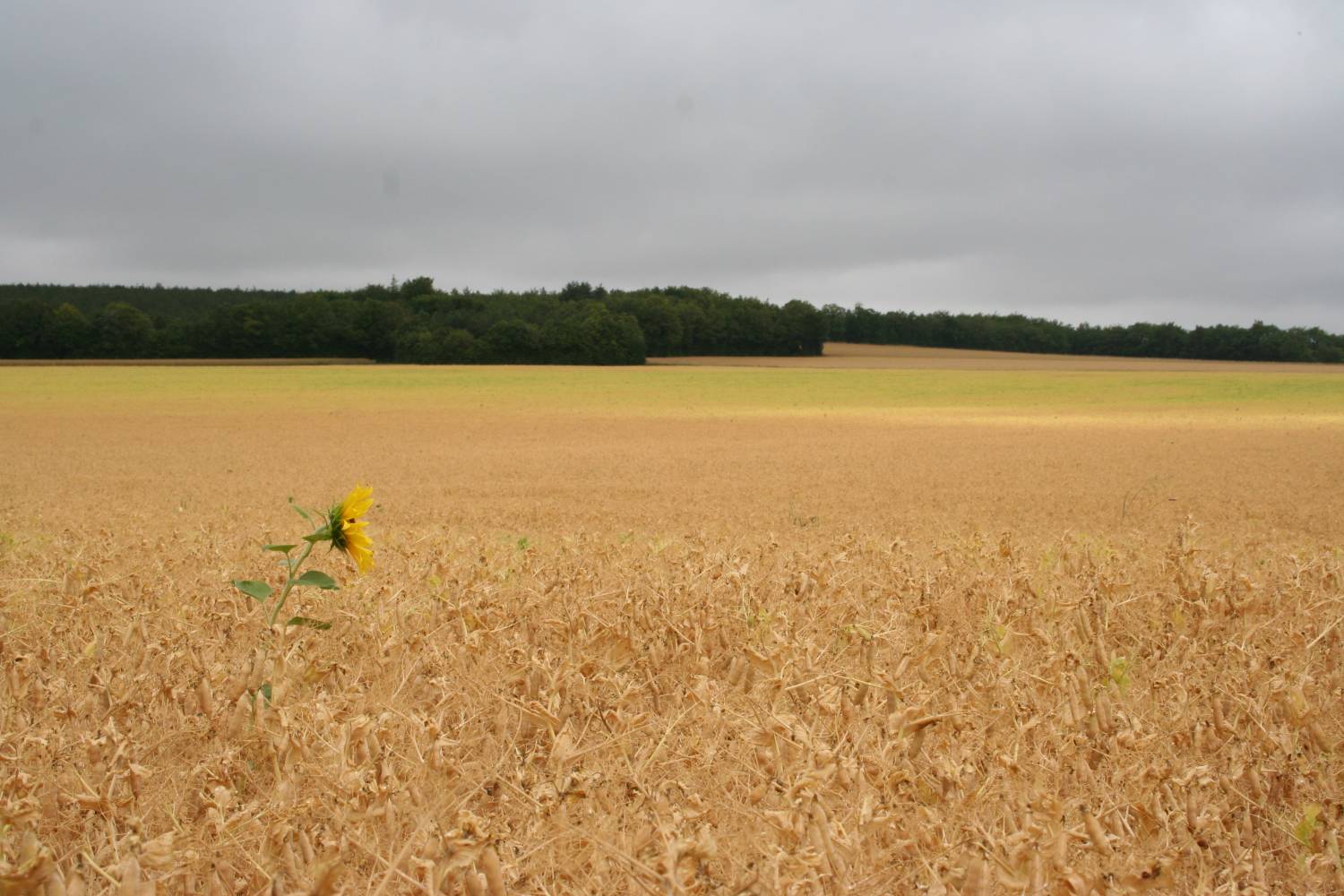 villier montilot010705 024
